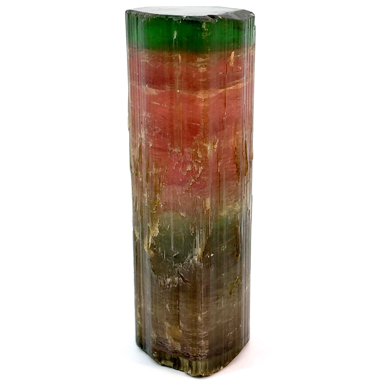 Large multicolor tourmaline crystal from the Himalaya Mine in California with brown, green, blue, pink, red, and bright green cap