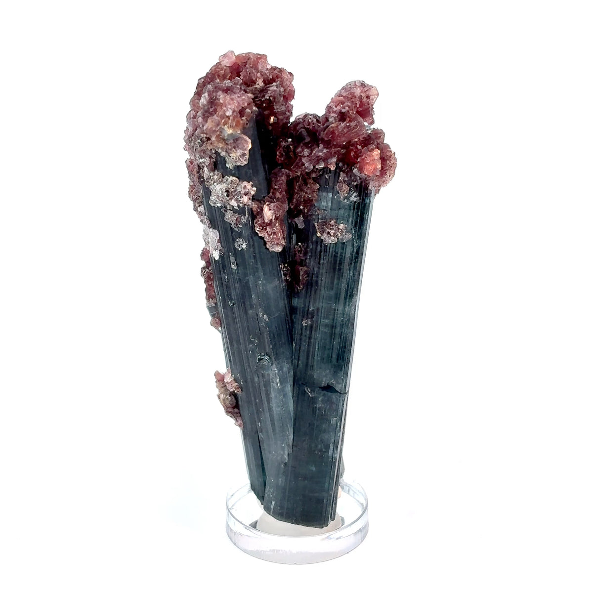 Natural dark blue Tourmaline crystal with Lepidolite overgrowth from Brazil, 67 gram mineral specimen measuring 77 x 30 x 25 mm