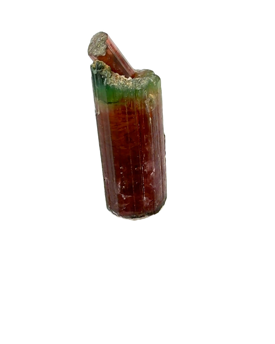 Natural bi-color red and green Tourmaline crystal with vertical striations and a secondary crystal mounted upright on a clear acrylic display stand, weighing 13.8 grams.
