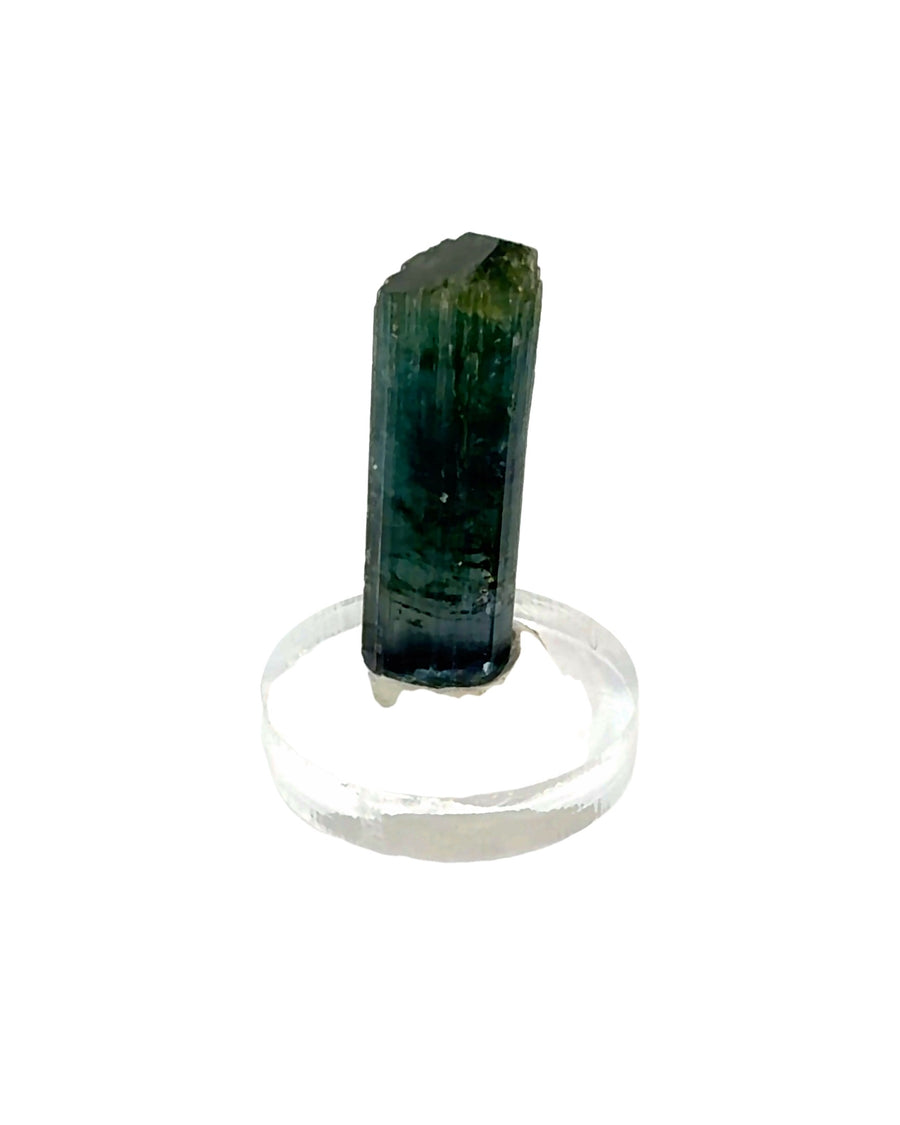 Raw blue-green Tourmaline crystal with natural vertical striations mounted on a clear acrylic display stand, measuring 1 x 0.8 x 3.2 cm.
Shopify Tags