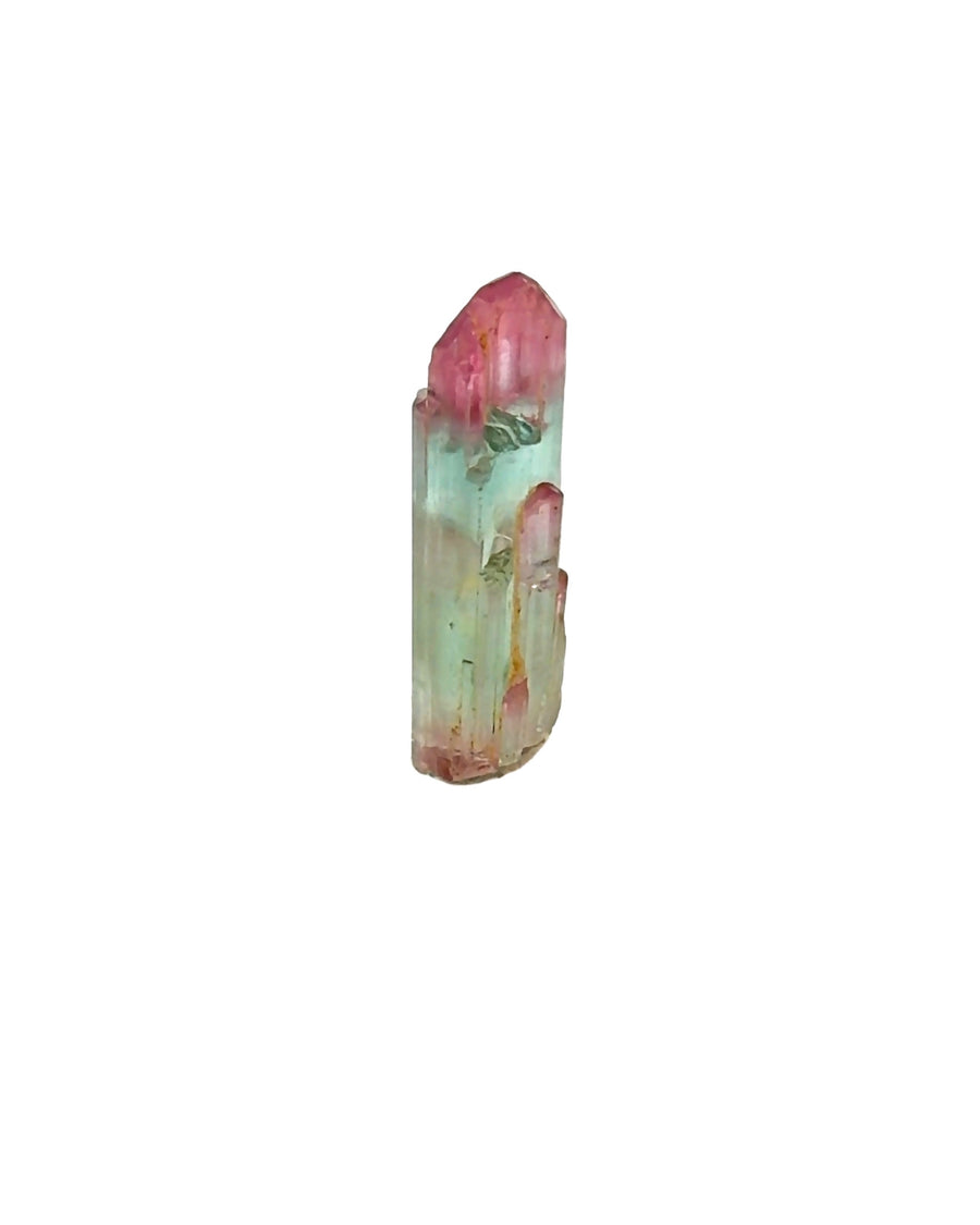 Natural raw bi-color Pink and Blue Tourmaline crystal mounted on a clear acrylic stand with vibrant color zoning, vertical striations, and translucent blue body.