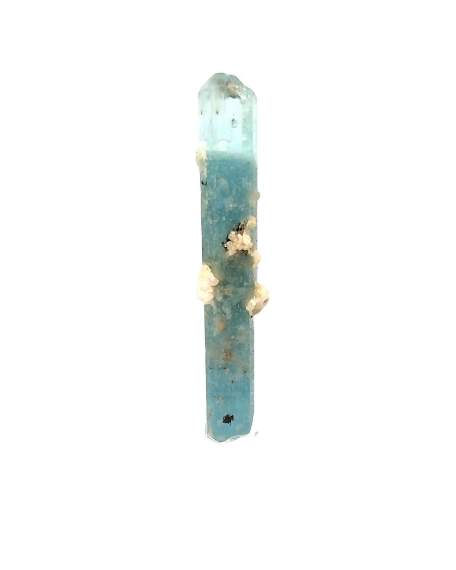 Natural Brazilian Aquamarine crystal specimen with dark included base and gem-clear pencil-point termination from the rare 1999 discovery.