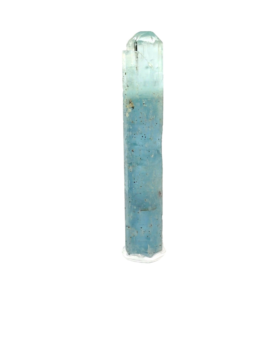 Natural Brazilian Aquamarine crystal specimen with dark included base and gem-clear pencil-point termination from the rare 1999 discovery.
