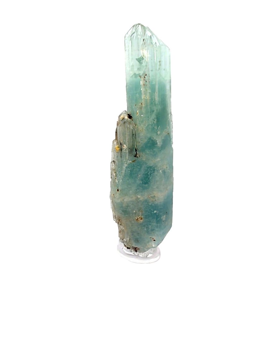 Natural Brazilian Aquamarine crystal specimen with dark included base and gem-clear pencil-point termination from the rare 1999 discovery.
