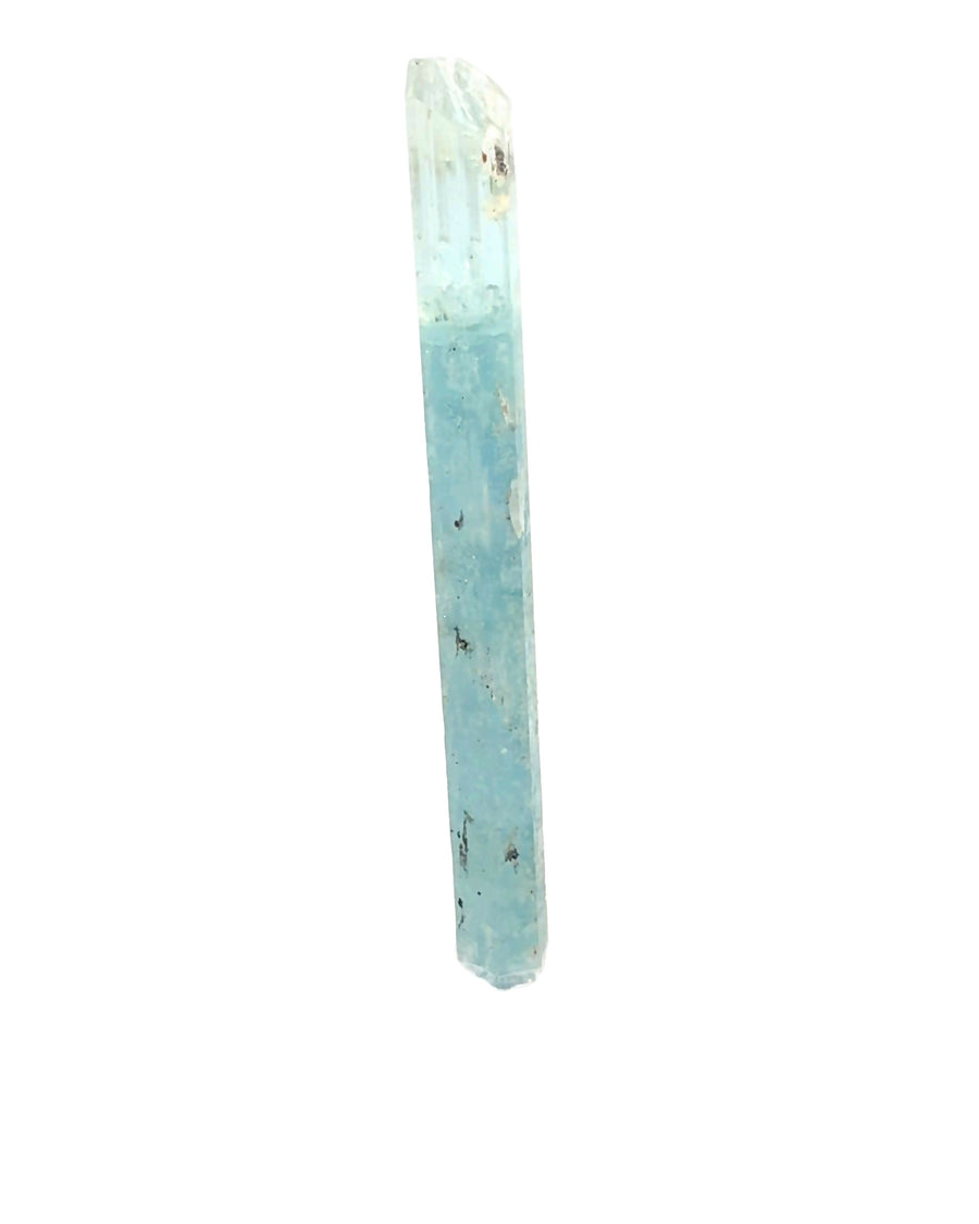 Natural Brazilian Aquamarine crystal specimen with dark included base and gem-clear pencil-point termination from the rare 1999 discovery.