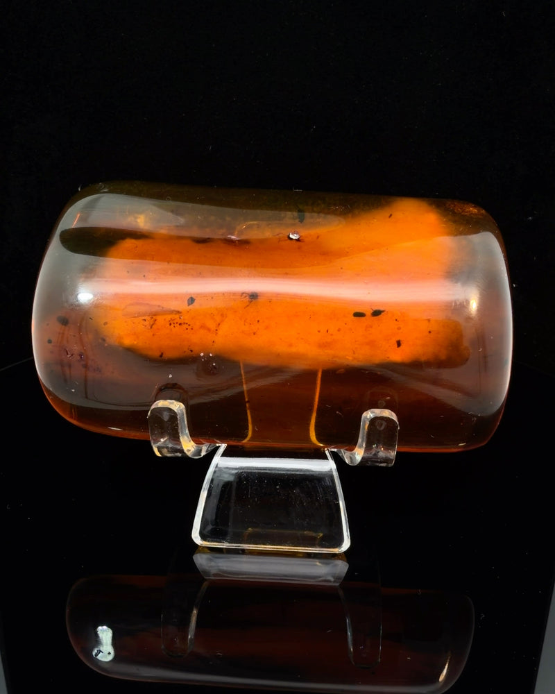 Polished Baltic Amber Specimen with Insect Inclusions