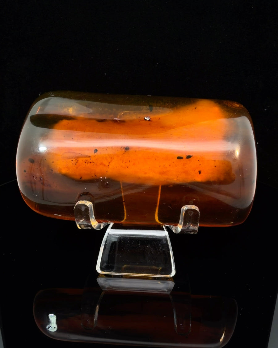 Polished Baltic Amber Specimen with Insect Inclusions