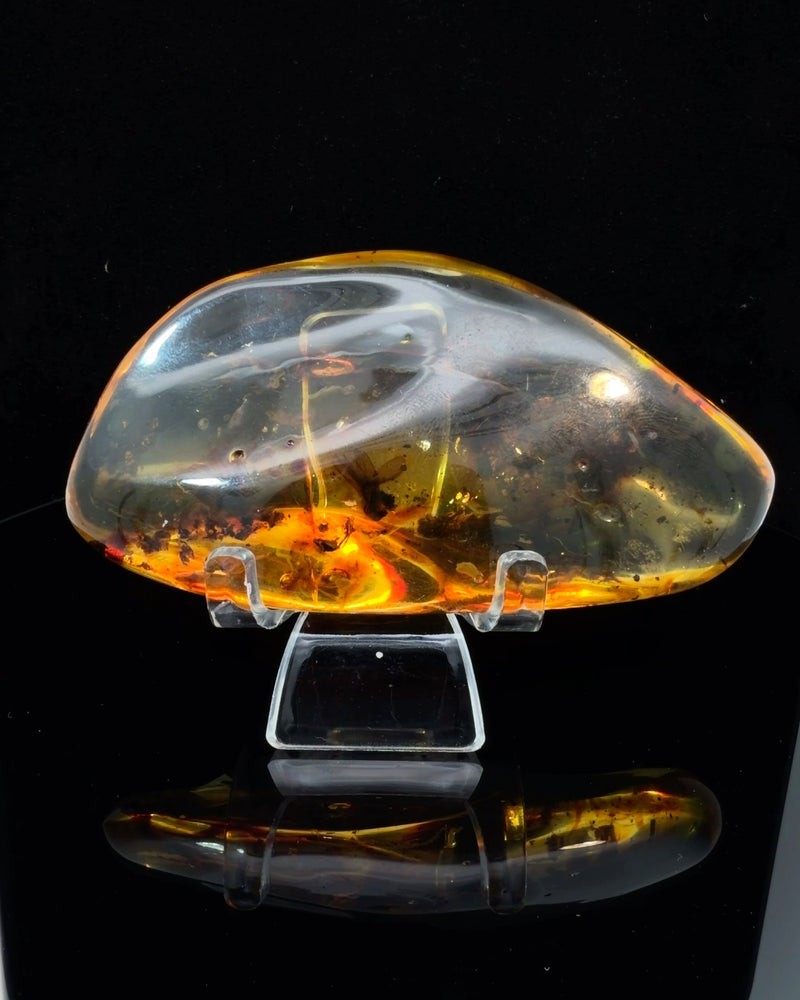 Large Polished Amber Specimen with Insect Inclusions