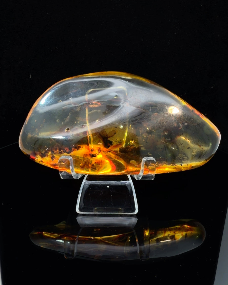 Large Polished Amber Specimen with Insect Inclusions