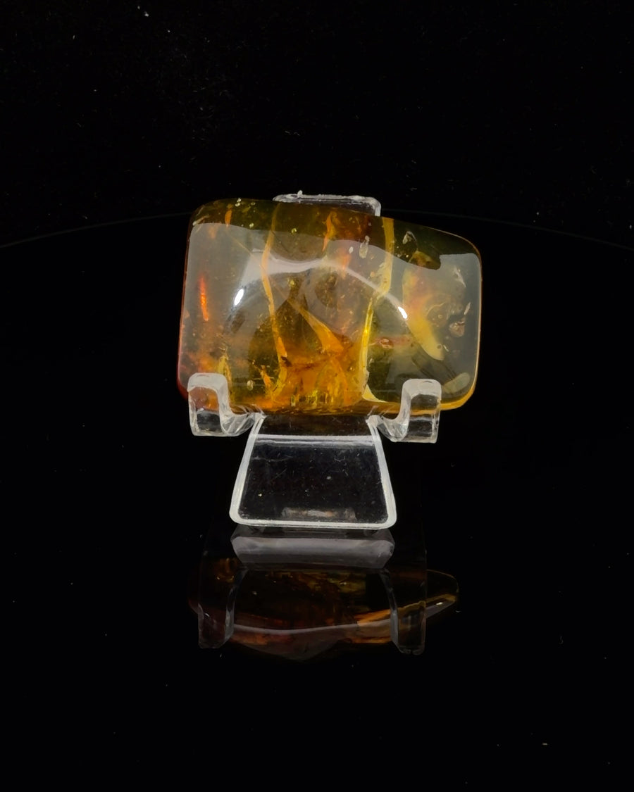 Natural Rectangular Baltic Amber specimen with Insect Inclusions