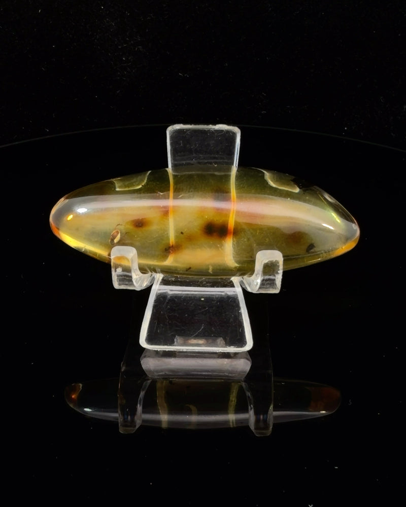 Polished Oval Baltic Amber