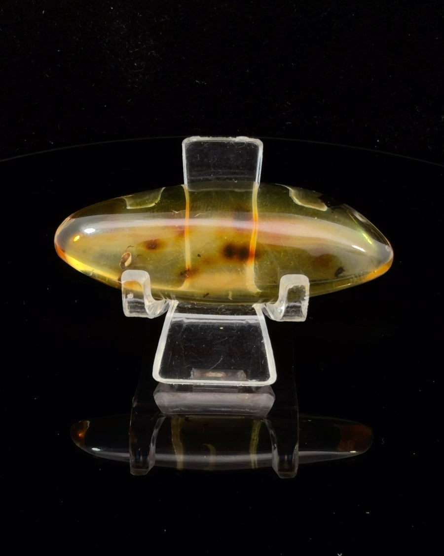 Polished Oval Baltic Amber