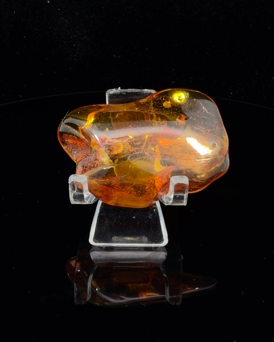Freeform Baltic Amber Specimen