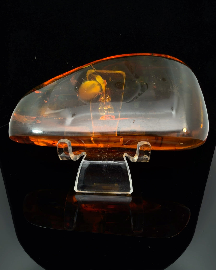 Large Polished Baltic Amber Specimen with Insect inclusions