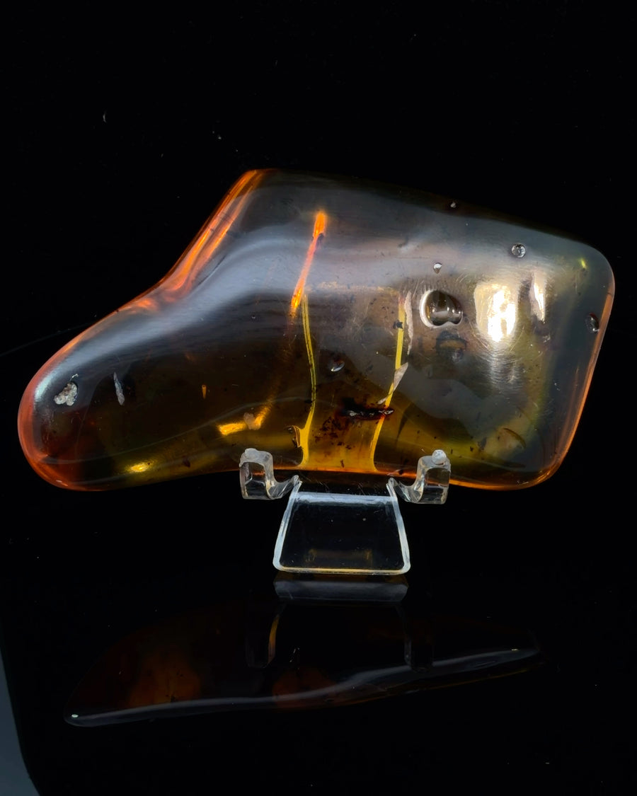 Polished Freeform Baltic Amber Specimen