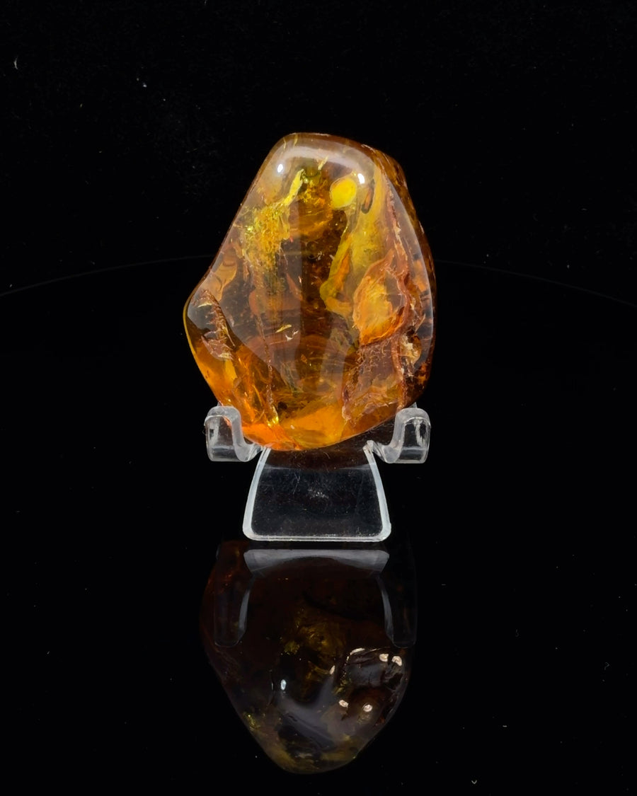 Polished Baltic Amber specimen
