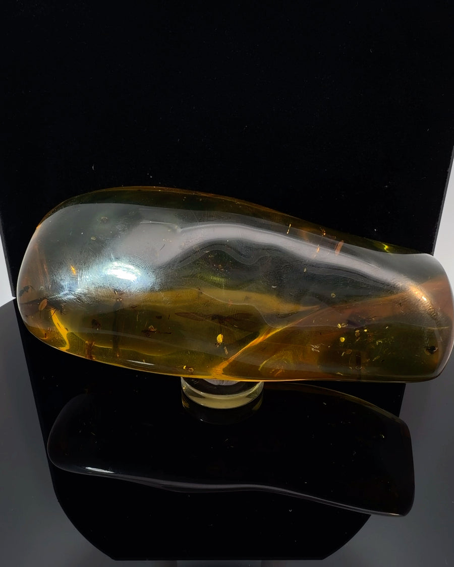 Large Polished Baltic Amber Specimen with Insects