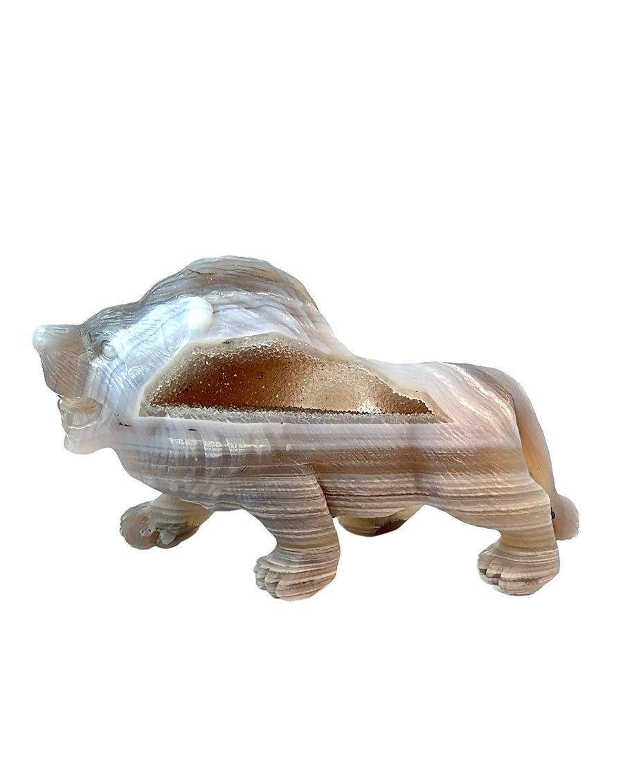 Carved Banded Agate Lion Figurine with Natural Druzy Cavity