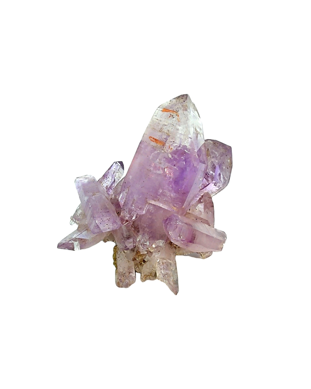 Vera Cruz Amethyst Crystal Cluster with Enhydro