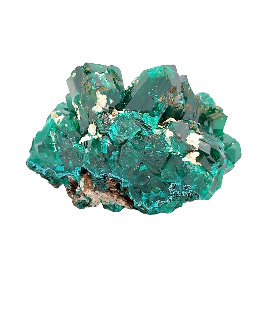 Dioptase Crystal Cluster on Matrix