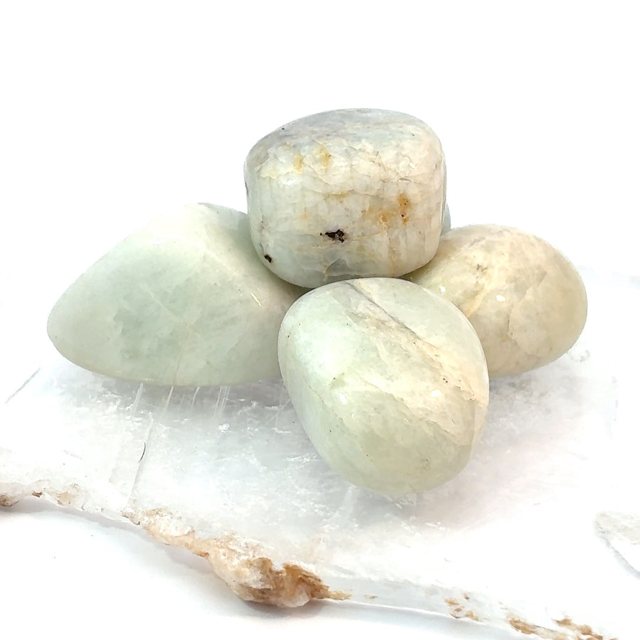 Polished Aquamarine crystal set featuring three natural tumbled gemstones.