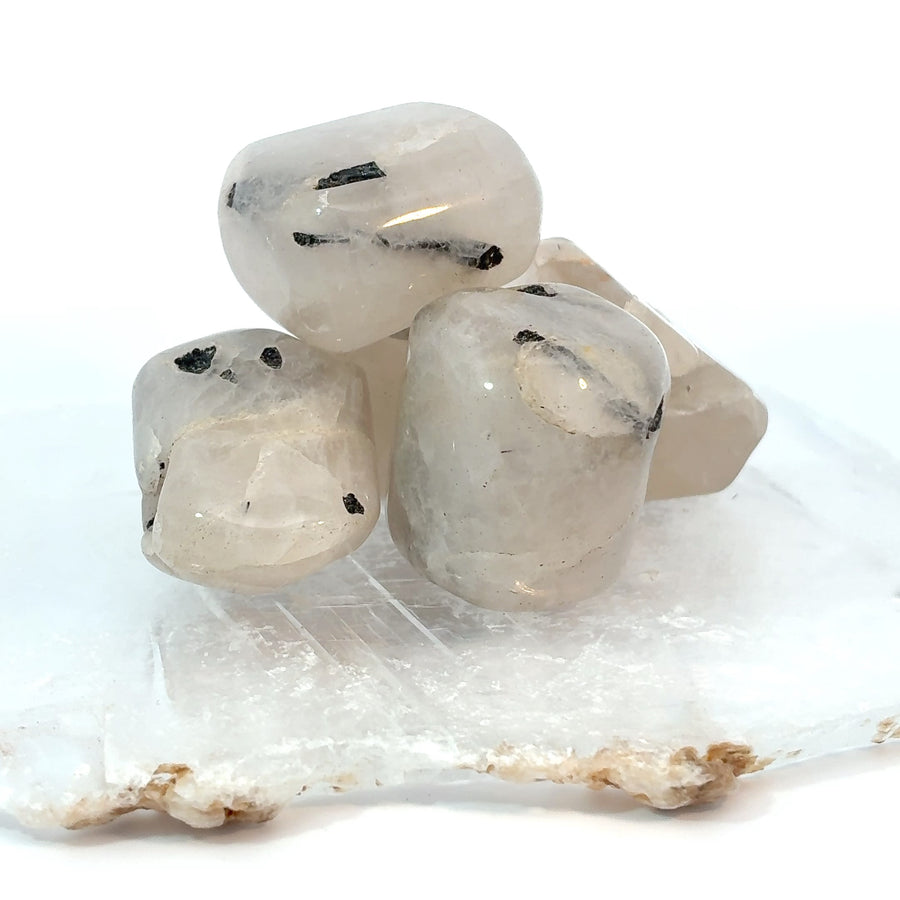 Set of four natural Black Tourmaline in Quartz tumbled stones with polished clear quartz and black tourmaline inclusions for grounding, protection, meditation, and crystal collections.