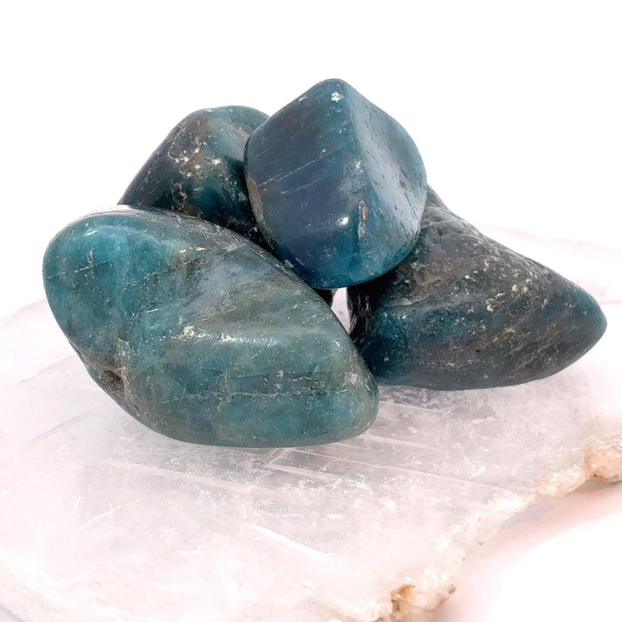 Tumbled Blue Apatite