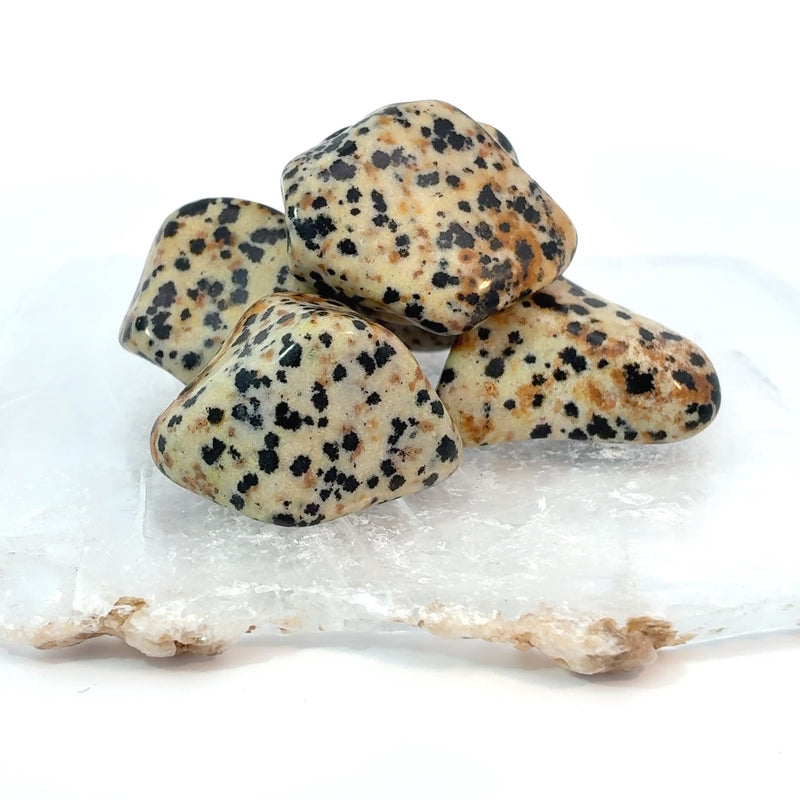 Tumbled Dalmatian Jasper