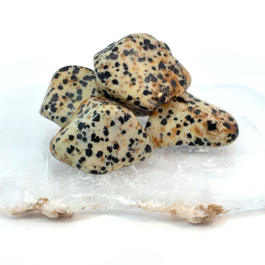 Tumbled Dalmatian Jasper