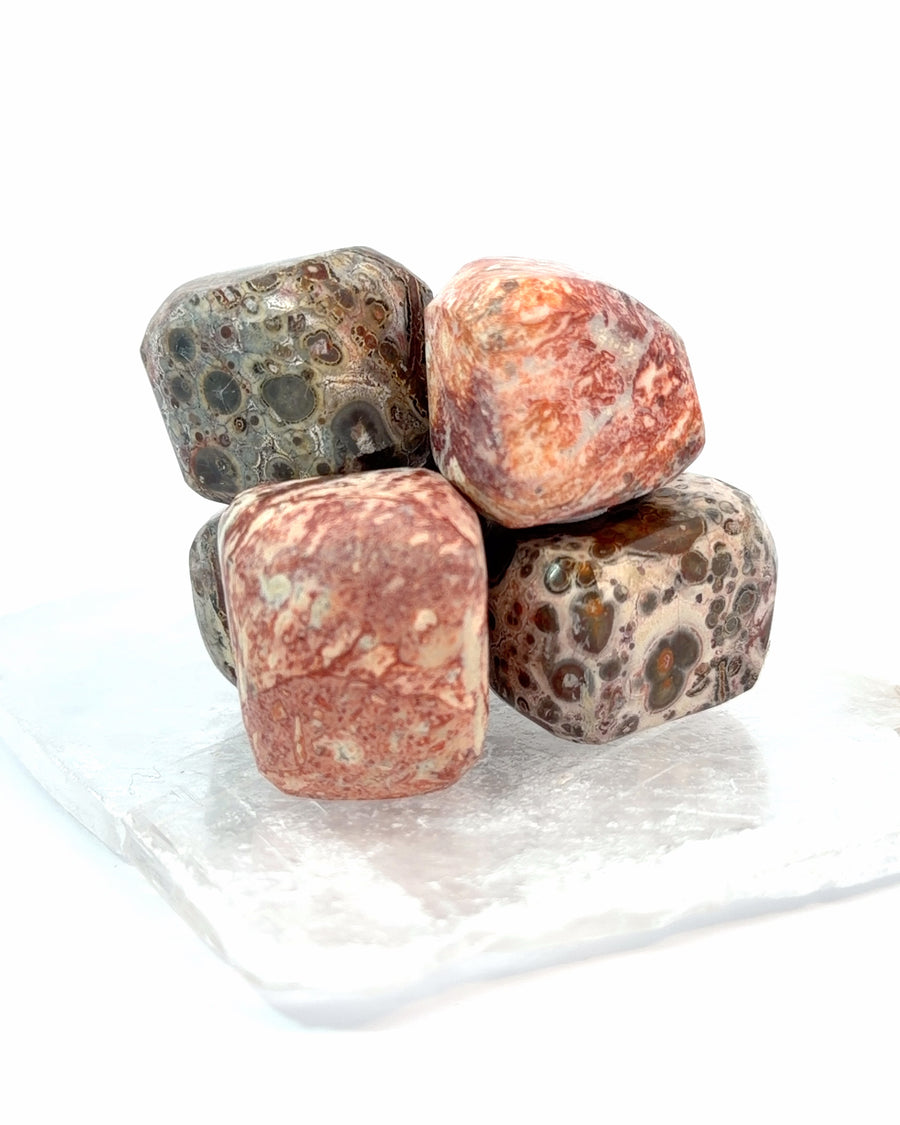 Tumbled Leopard Skin Jasper
