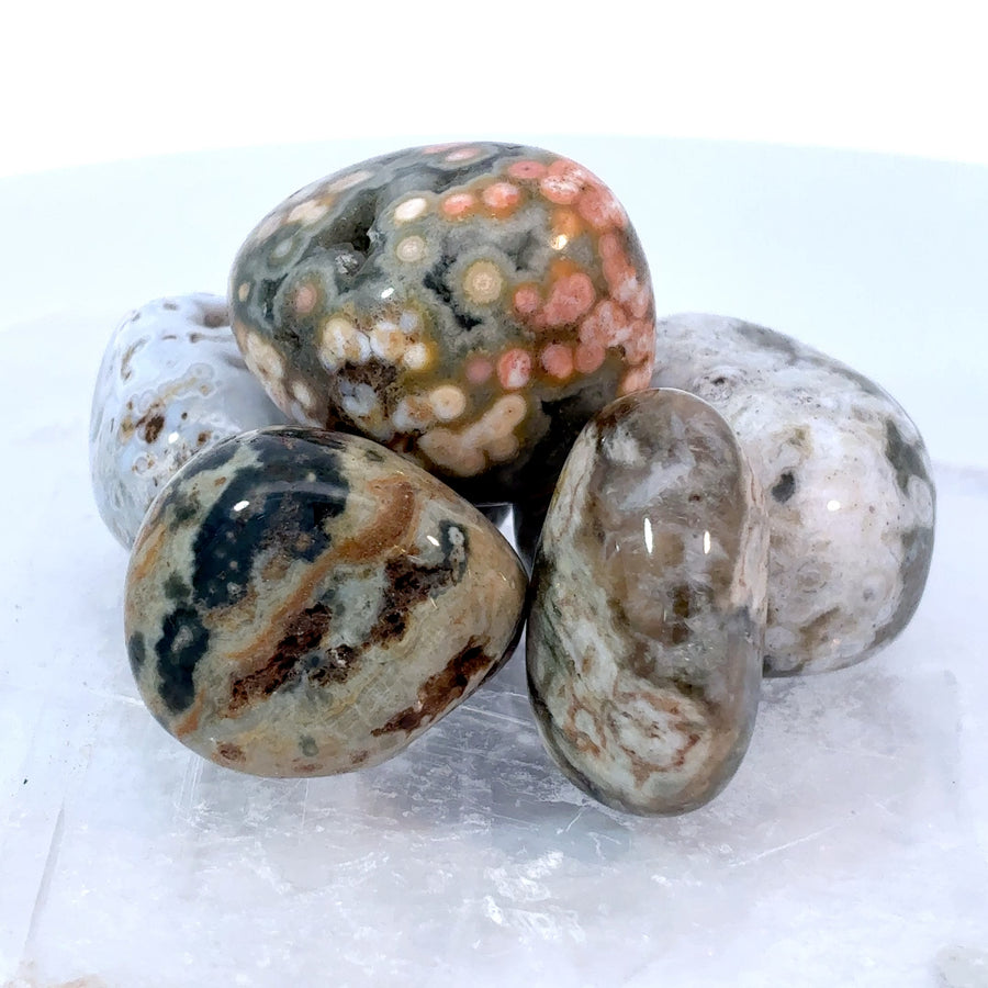 Tumbled Ocean Jasper