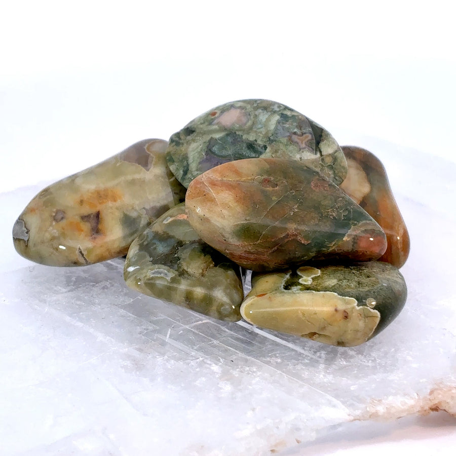 Tumbled Rainforest Jasper