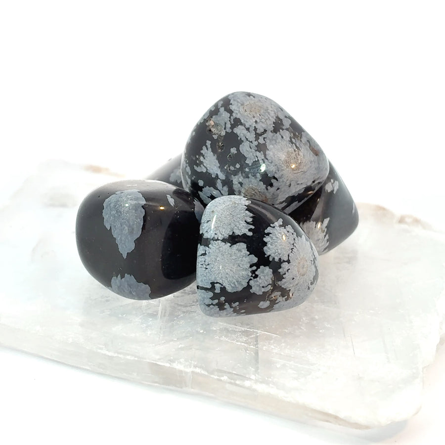 Set of 4 polished Snowflake Obsidian tumbled stones with natural black and white snowflake patterns
