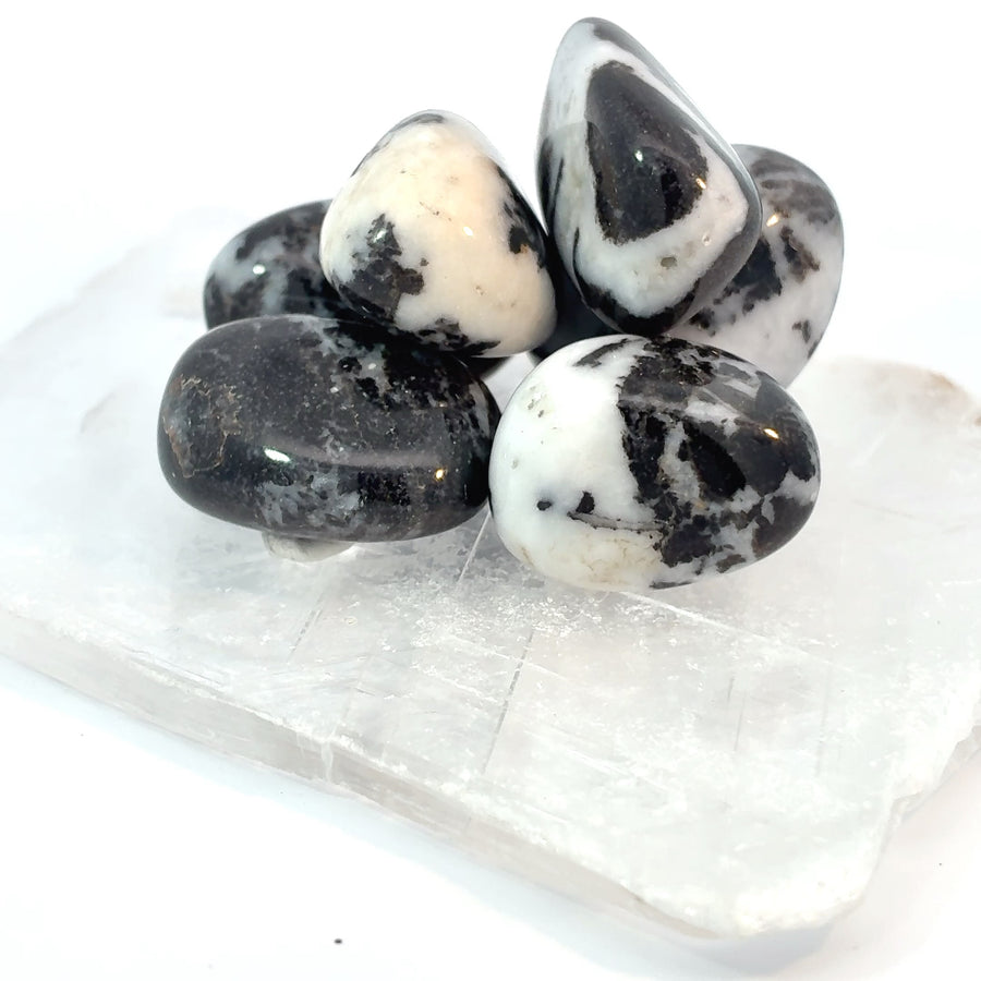 Set of 4 natural tumbled Zebra Jasper stones with distinctive black and white striped patterns and polished finish.
