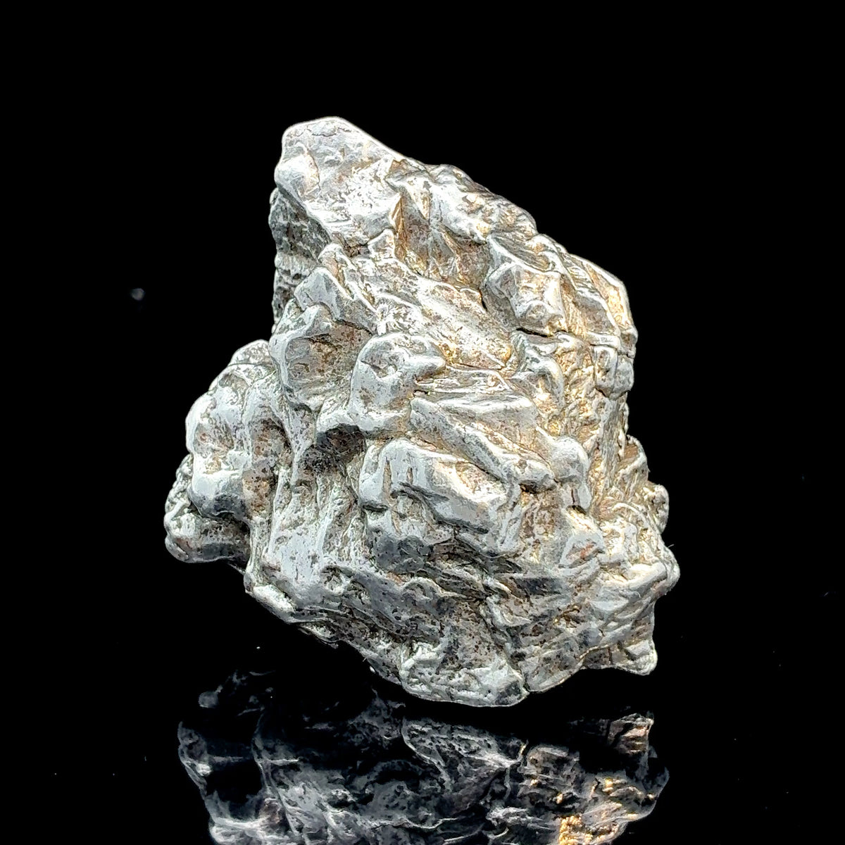 Meteorite Campo del Cielo