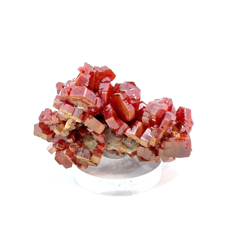 Vibrant red Vanadinite crystal from Morocco featuring sharp tabular formations, exceptional color, and natural beauty. A striking collector mineral specimen.