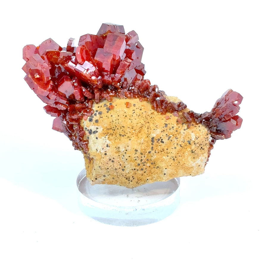 Bright red Vanadinite crystal specimen from Morocco featuring vivid crimson pyramidal crystals on natural mineral matrix.