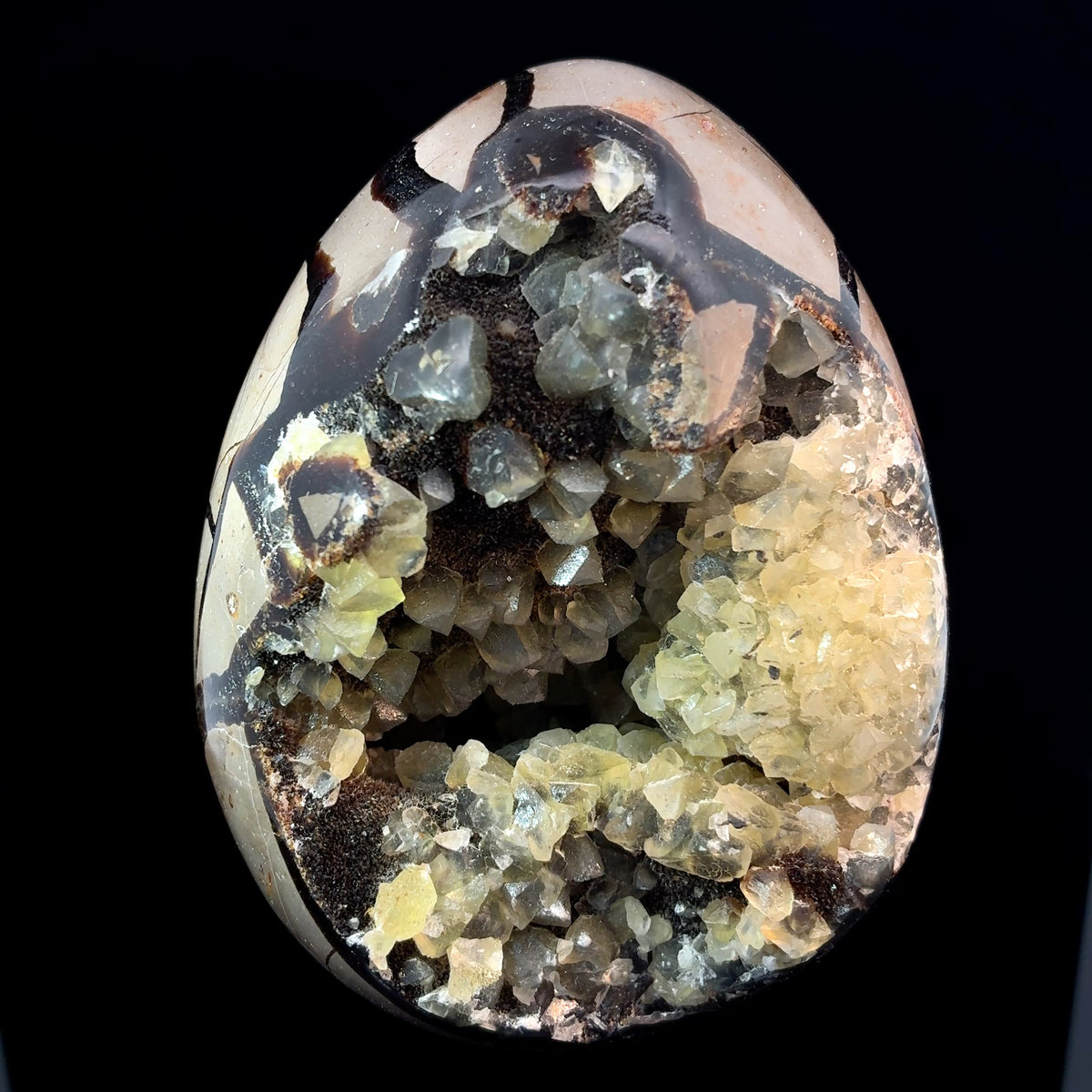 Authentic Madagascar Septarian Nodule featuring sparkling calcite crystals and unique geometric patterns.