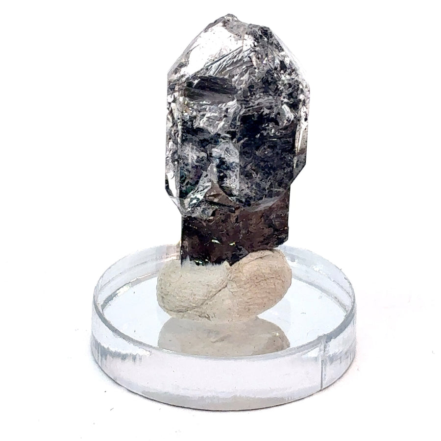 Rare Herkimer Diamond scepter quartz crystal with heavy carbon inclusions and clear double-terminated quartz growth from Little Falls, New York, measuring 27mm x 13mm x 9mm.