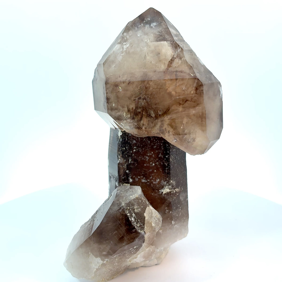 Natural Hallelujah Junction scepter quartz crystal mineral specimen showing two-stage growth, 274.7 grams, 111 x 54 x 36 mm
