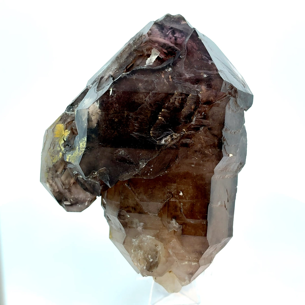 Large smoky amethyst scepter head quartz crystal specimen from Hallelujah Junction measuring 93 x 73 x 59 mm