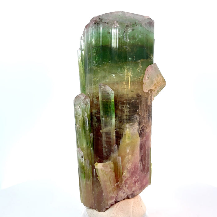Paprok Tourmaline Crystal Specimen – Red, Green & Blue Color Zoning, 273g Afghanistan Mineral