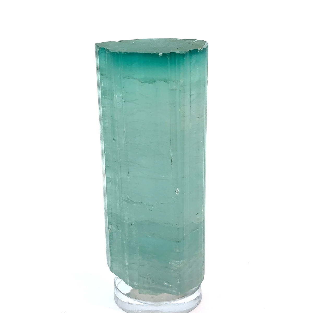 Natural blue tourmaline crystal specimen with distinct dark blue cap, 101 grams, measuring 66 x 29 x 24 mm
