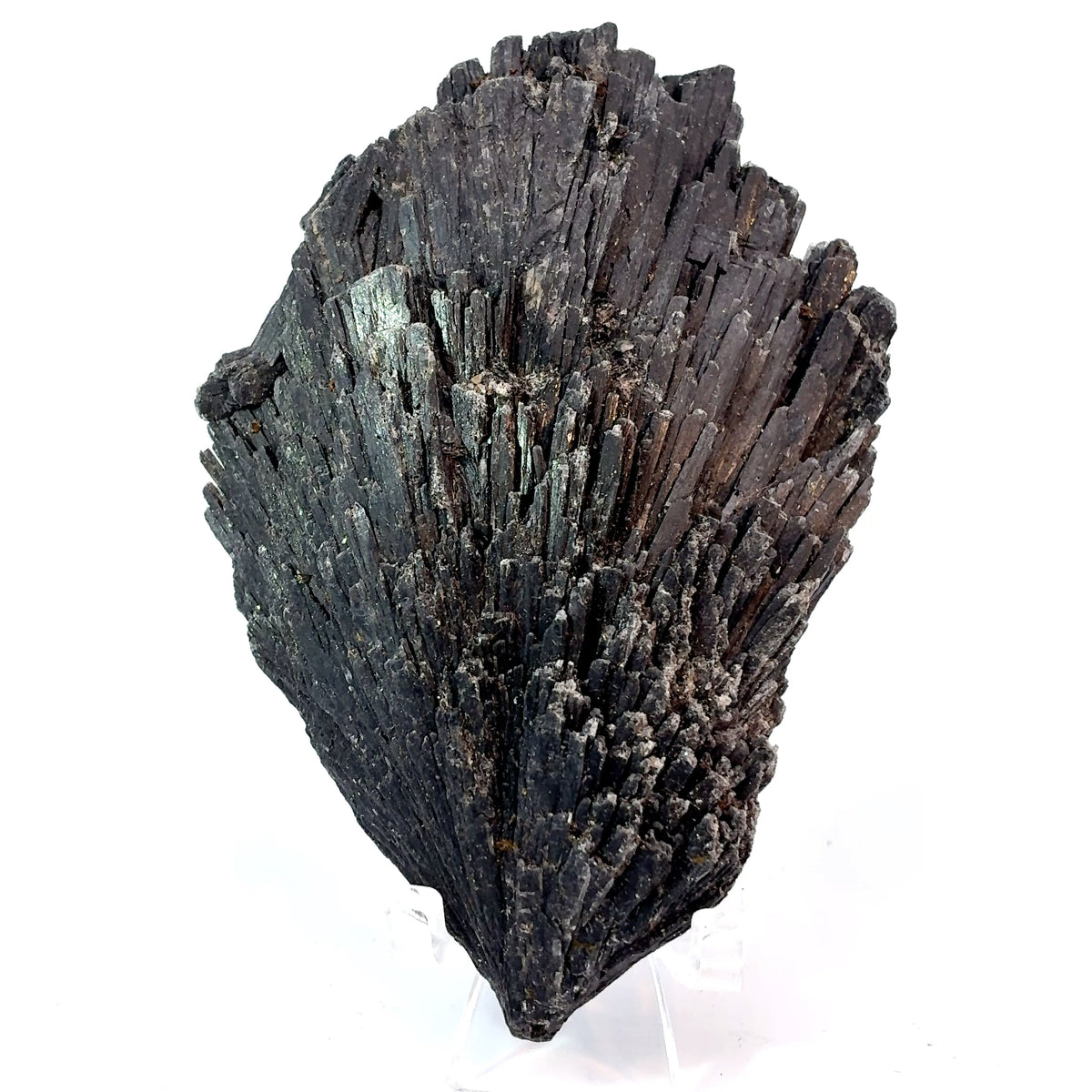 Natural Black Kyanite angel wing crystal from Brazil, 108 gram bladed mineral specimen measuring 88 x 62 x 19 mm